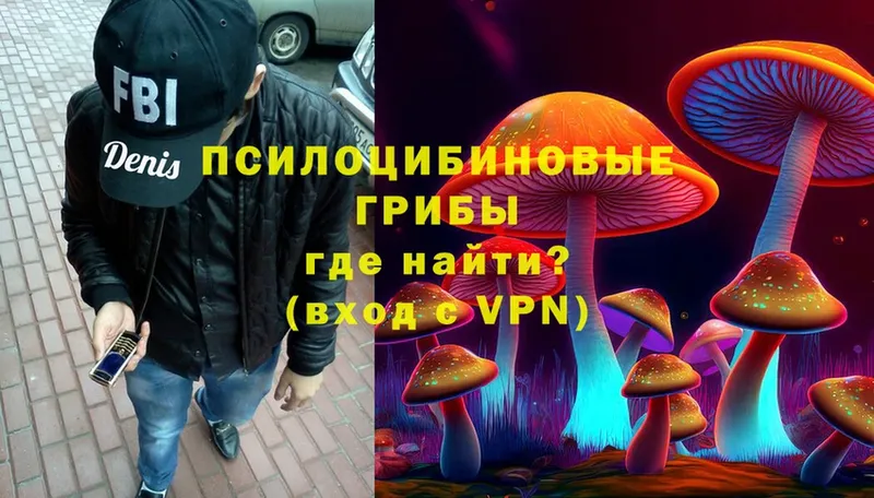 Псилоцибиновые грибы Psilocybe  Кушва 